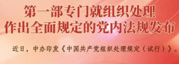 用好組織處理措施，督促干部干凈擔當